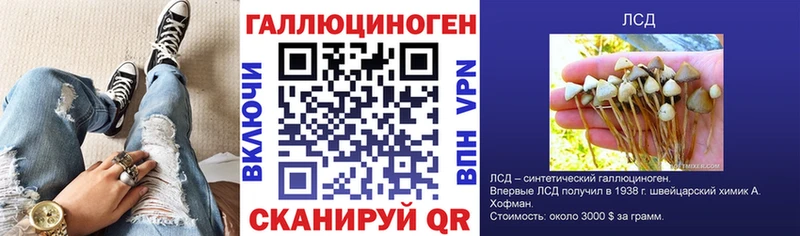 Псилоцибиновые грибы Psilocybe Купить Волосово